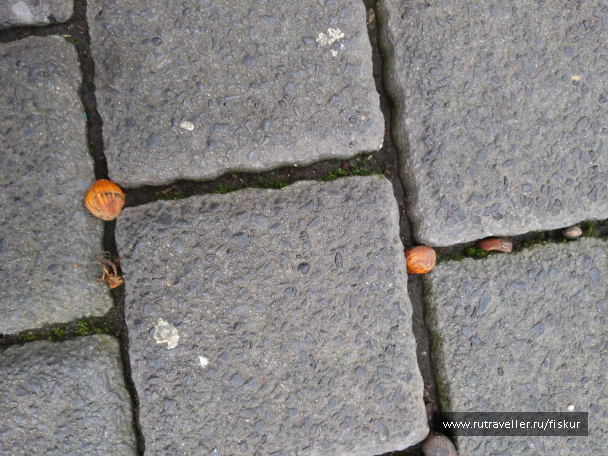 photo 1597874