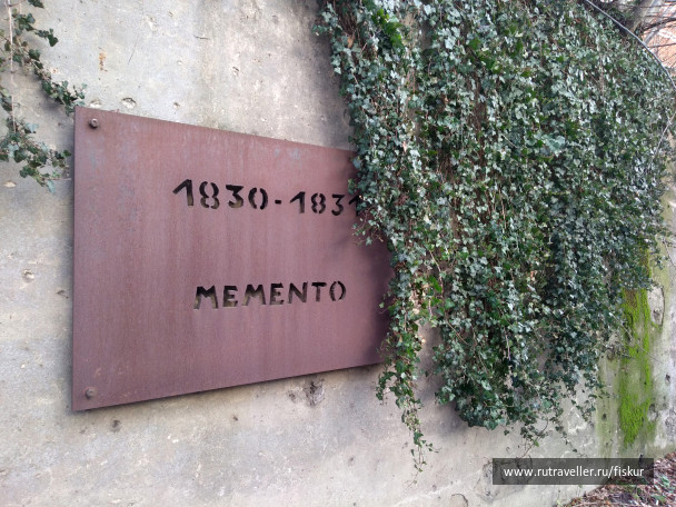 photo 1597886