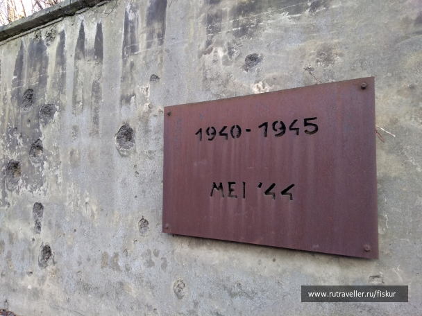 photo 1597887