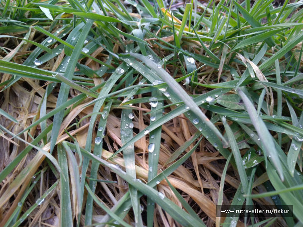 photo 1601723