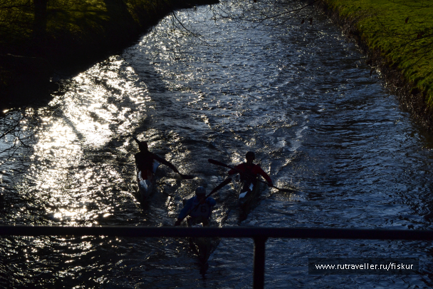 photo 1601732