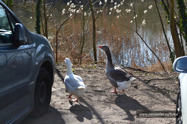 photo 1601741