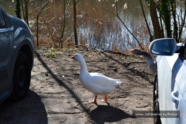 photo 1601742