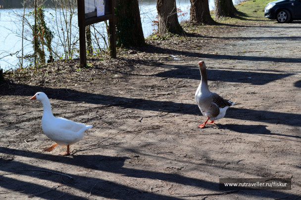 photo 1601743
