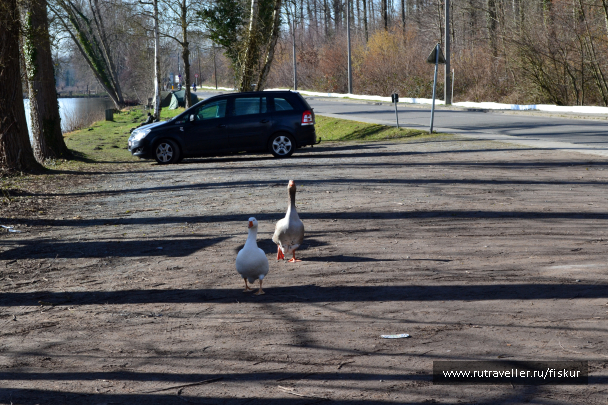 photo 1601744