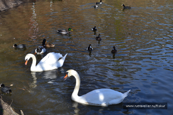 photo 1601745