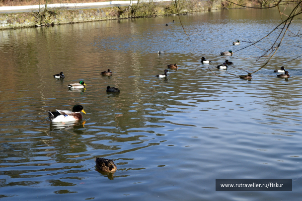photo 1601748