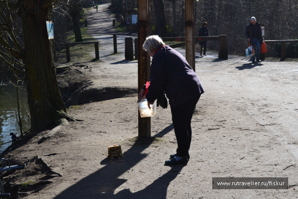 photo 1601750