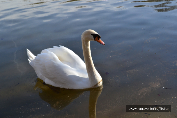 photo 1601753