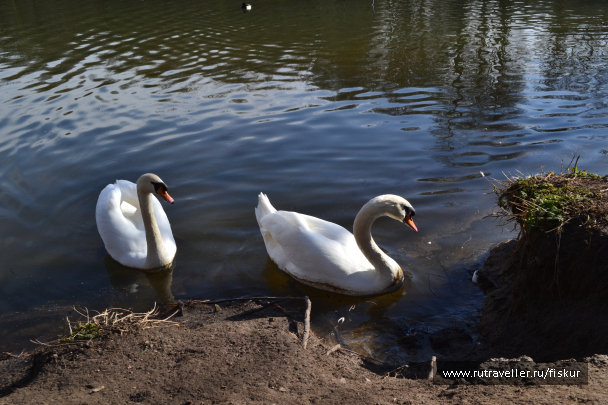photo 1601754