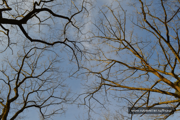 photo 1601755