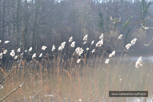 photo 1601758