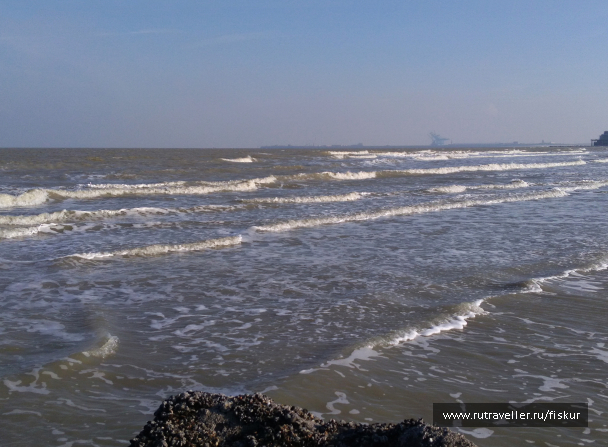 photo 1603302