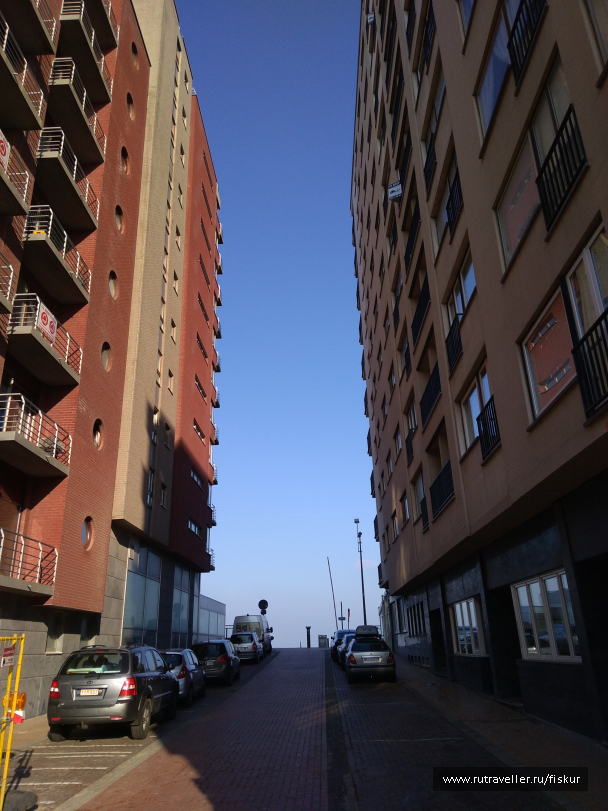 photo 1603309