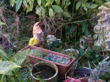 photo 1603313