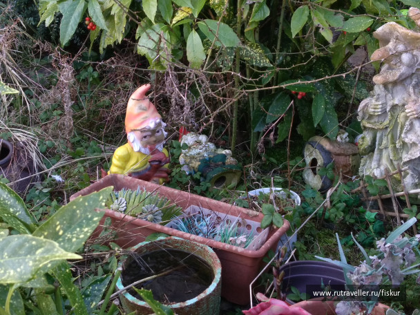 photo 1603313