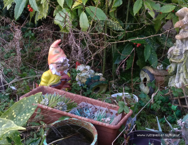 photo 1603319