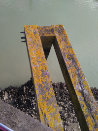 photo 1603332