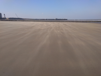 photo 1603339