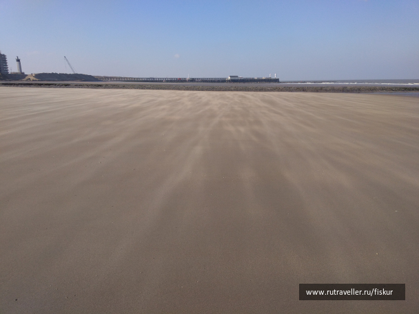 photo 1603339