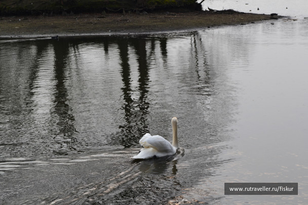 photo 1618552