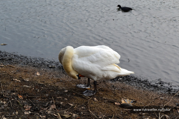 photo 1618553