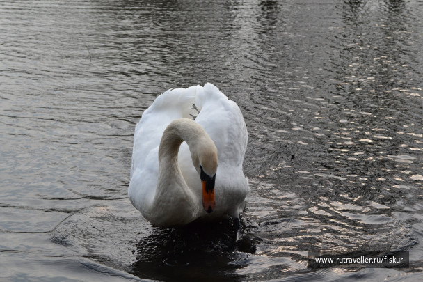 photo 1618554