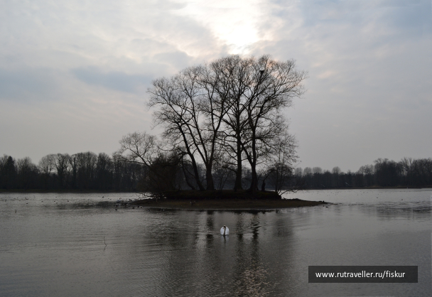photo 1618557