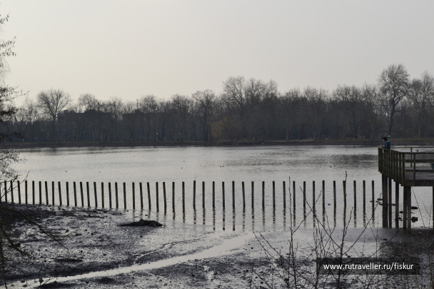 photo 1618562