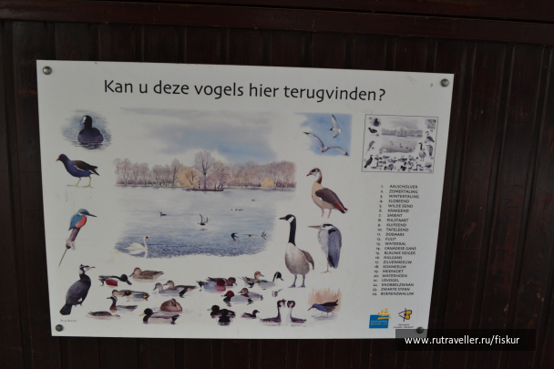 photo 1618563