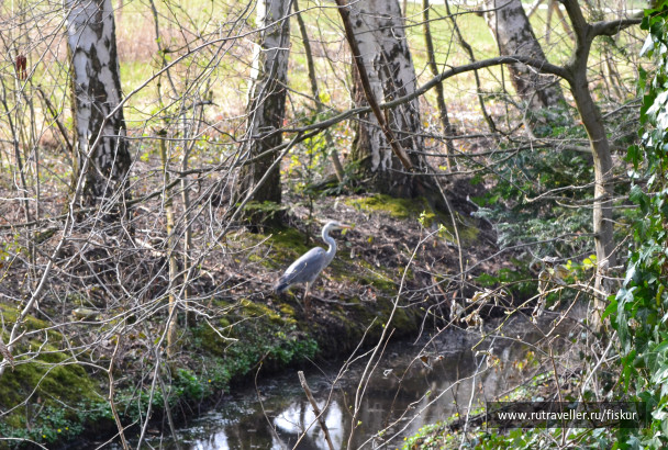 photo 1618564