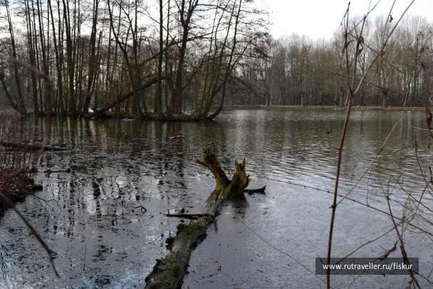 photo 1618568