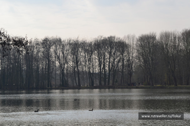 photo 1618569
