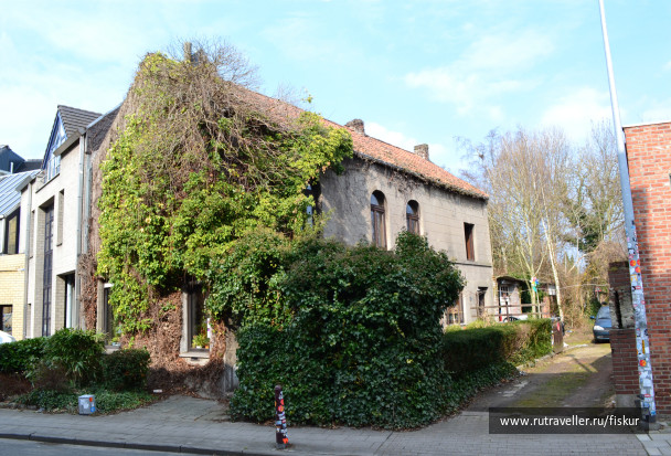 photo 1618572