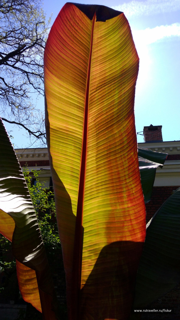 photo 1621778