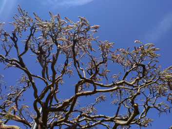 photo 1621779