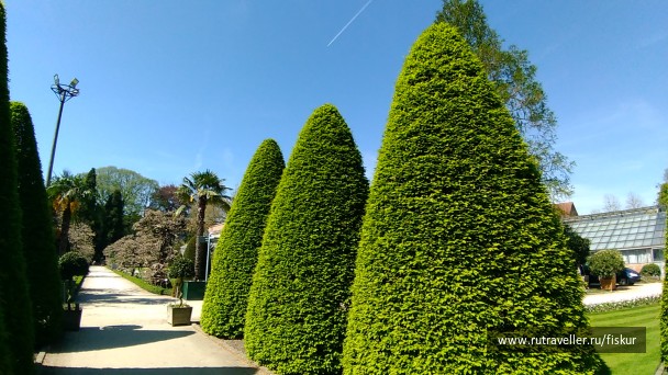 photo 1621780