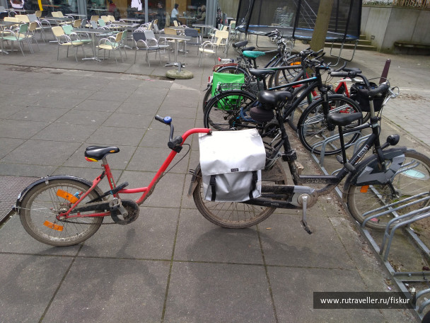 photo 1621786