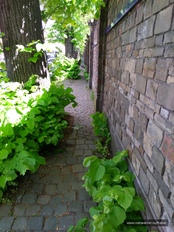 photo 1625055