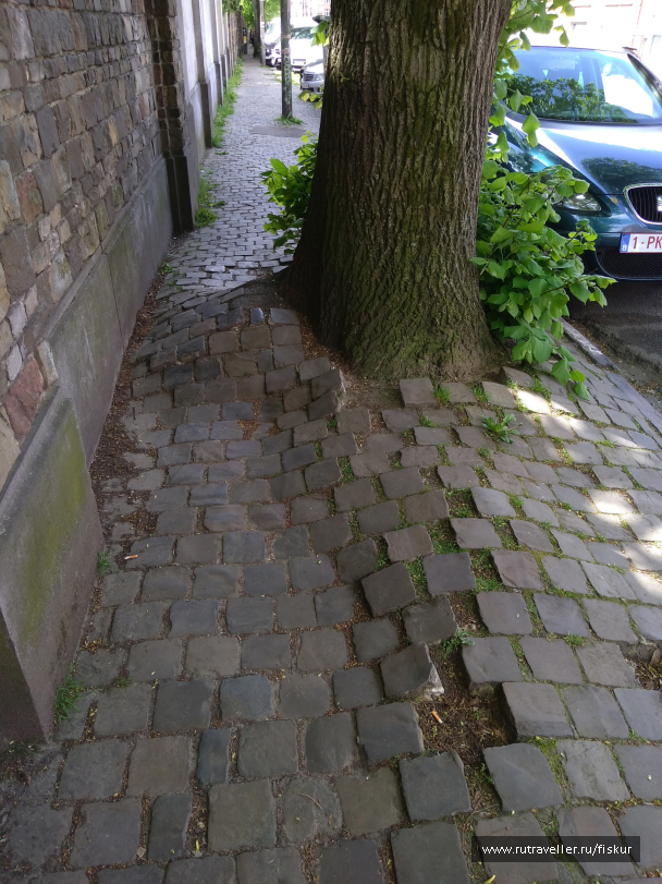 photo 1625056
