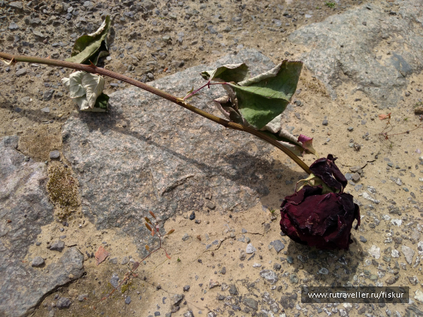 photo 1625062