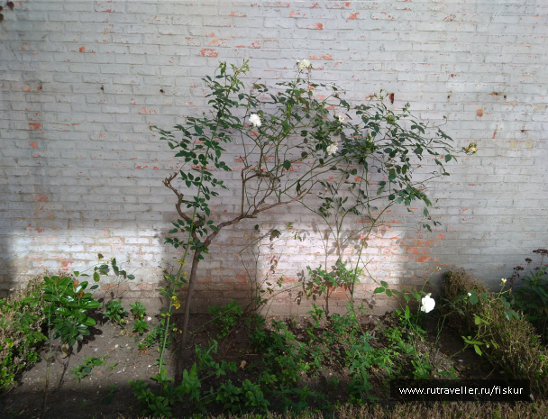photo 1648741