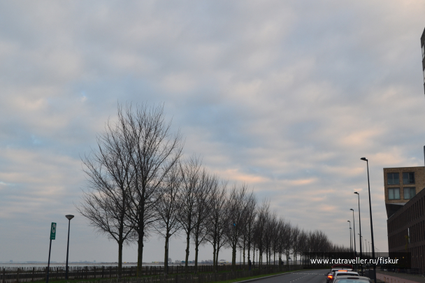 photo 1760420