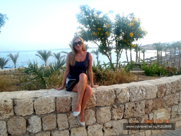 photo 778810