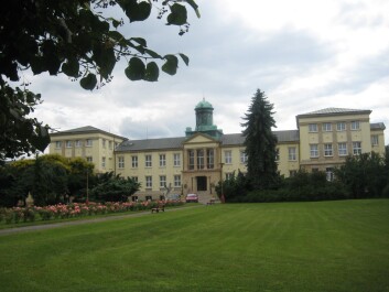 photo 10376