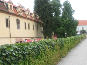 photo 10381