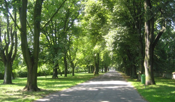 Аллея вдоль реки