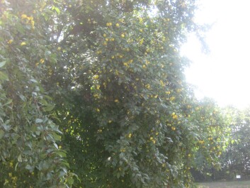 photo 10407
