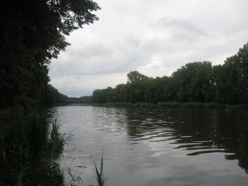 photo 10412