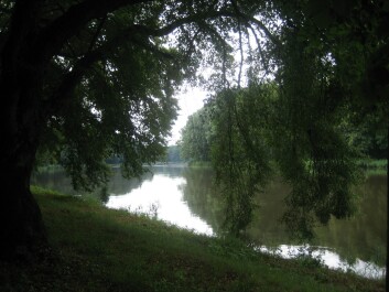 photo 10415